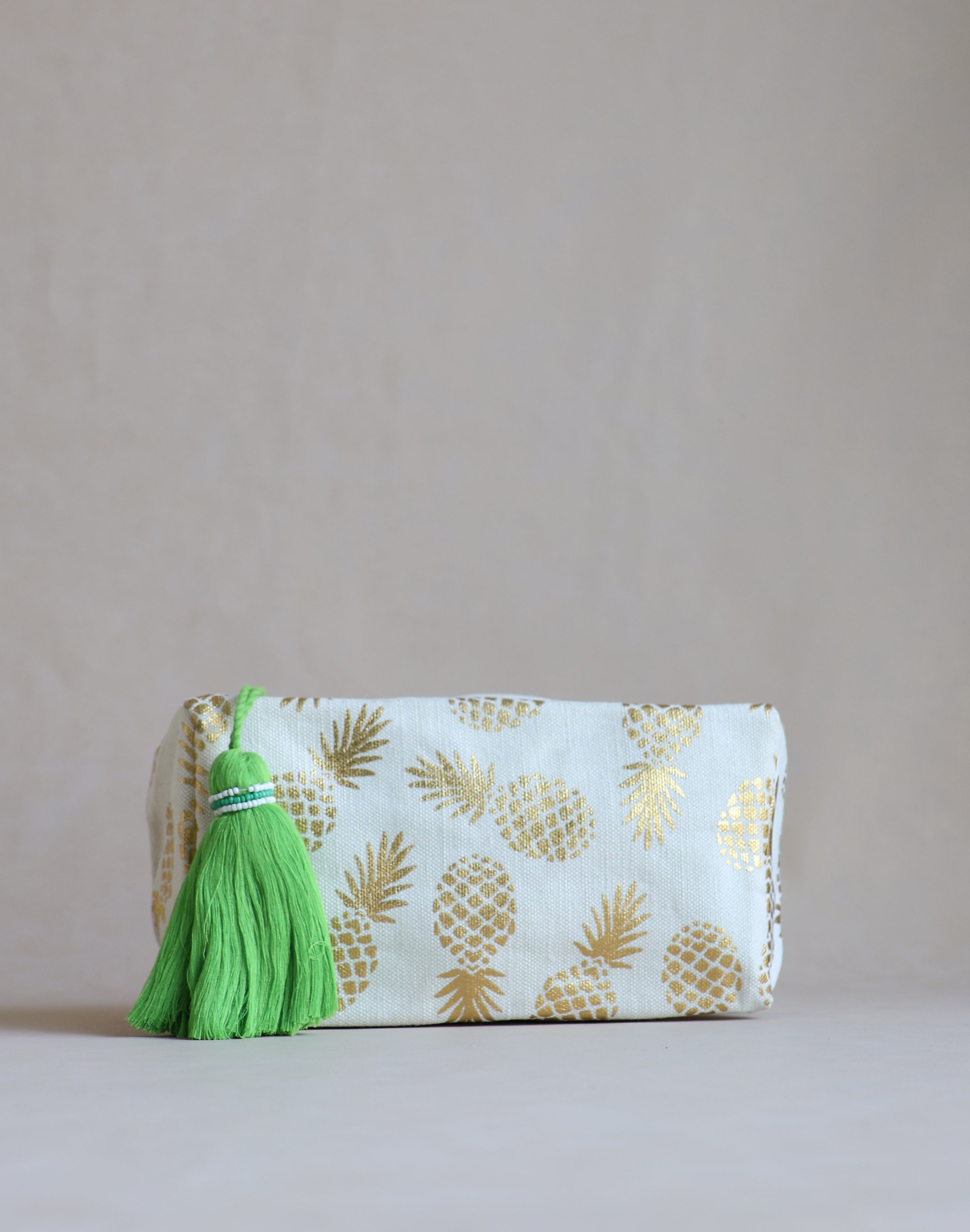 PINEAPPLE TRAIN CANVAS POUCH