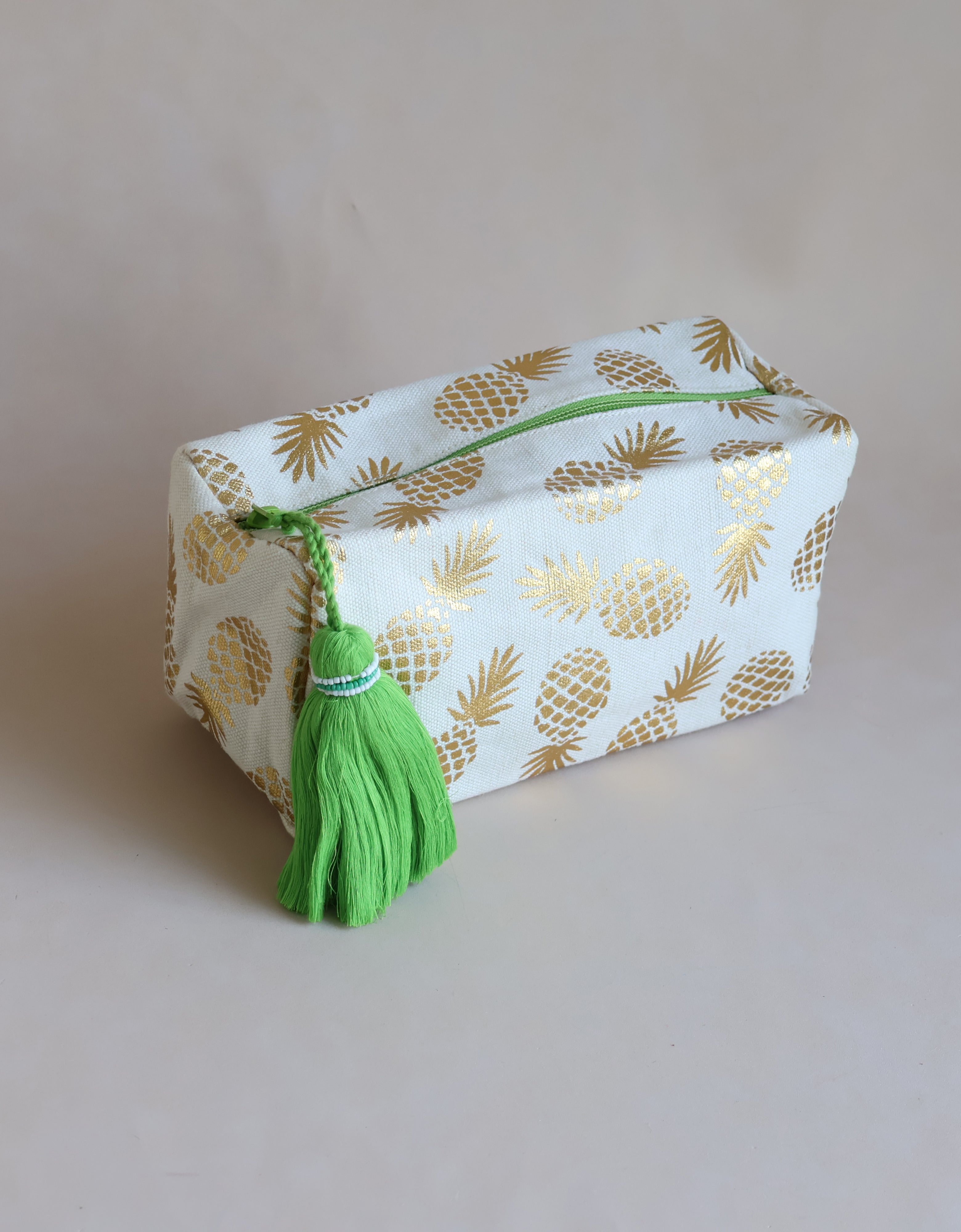 PINEAPPLE TRAIN CANVAS POUCH